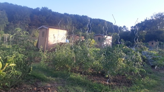 2 abris de jardin