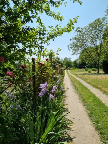Allee principale