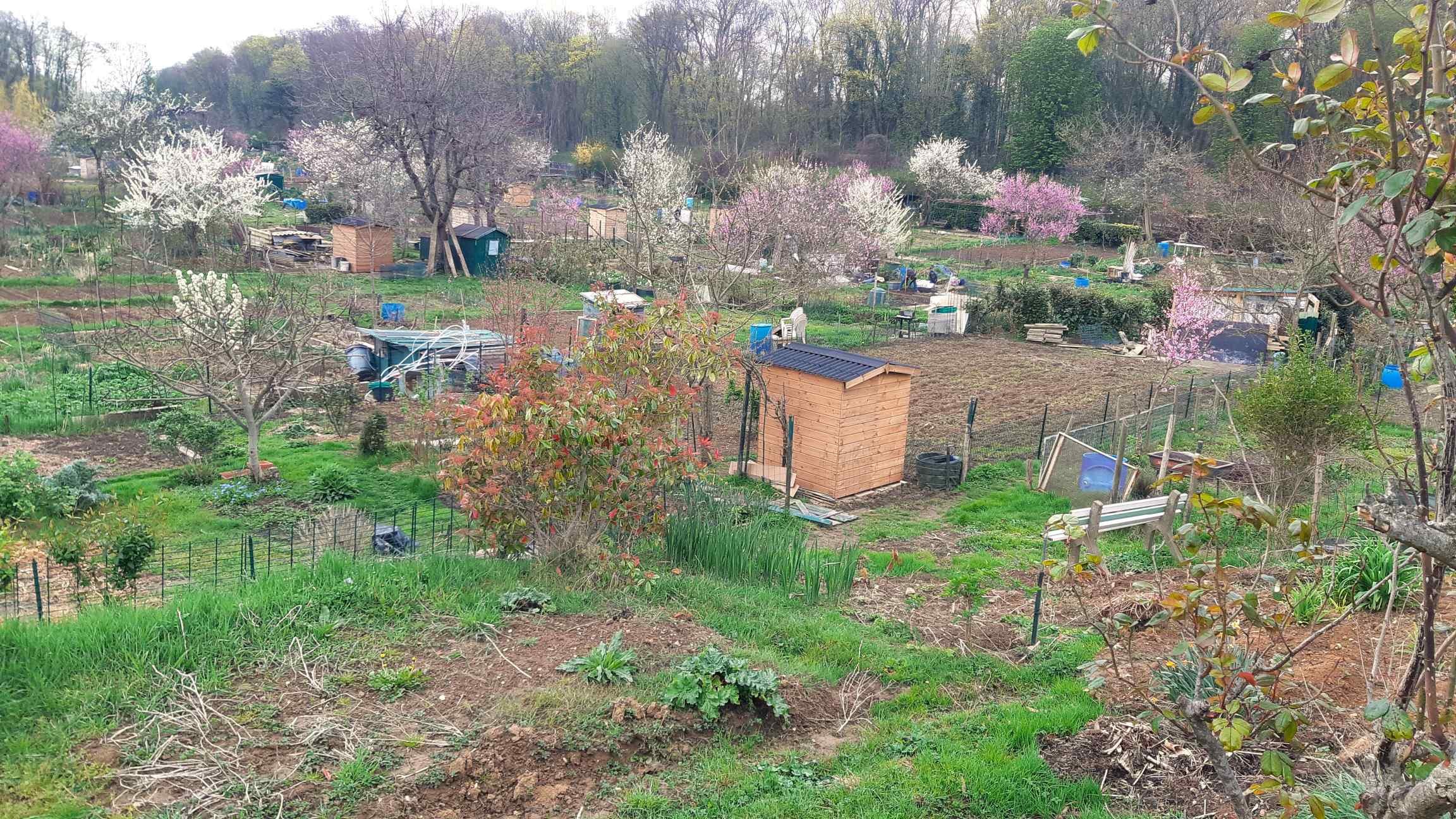 Jardins fleuris